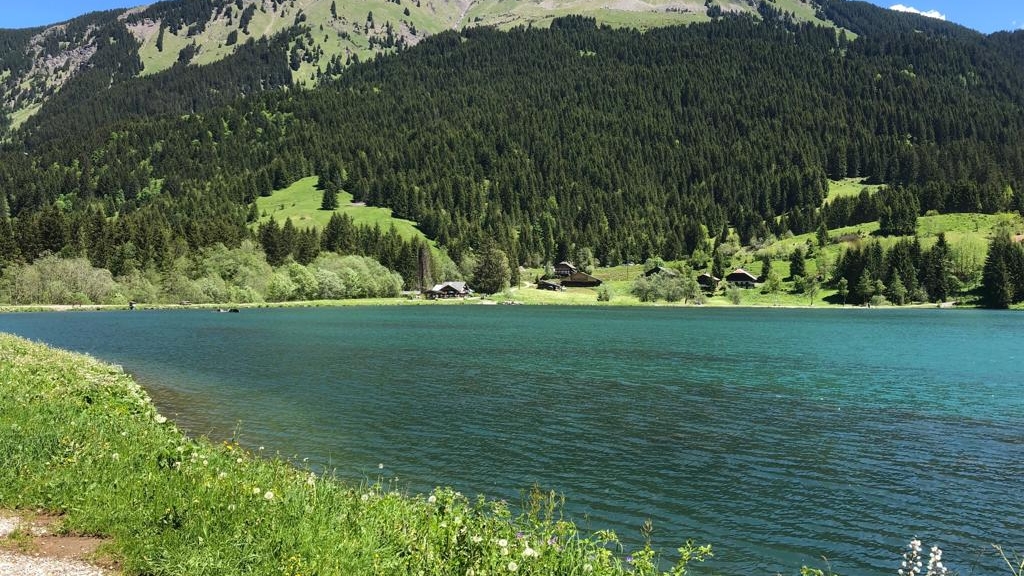 Bar-Restaurant Chez Roland Photos 2